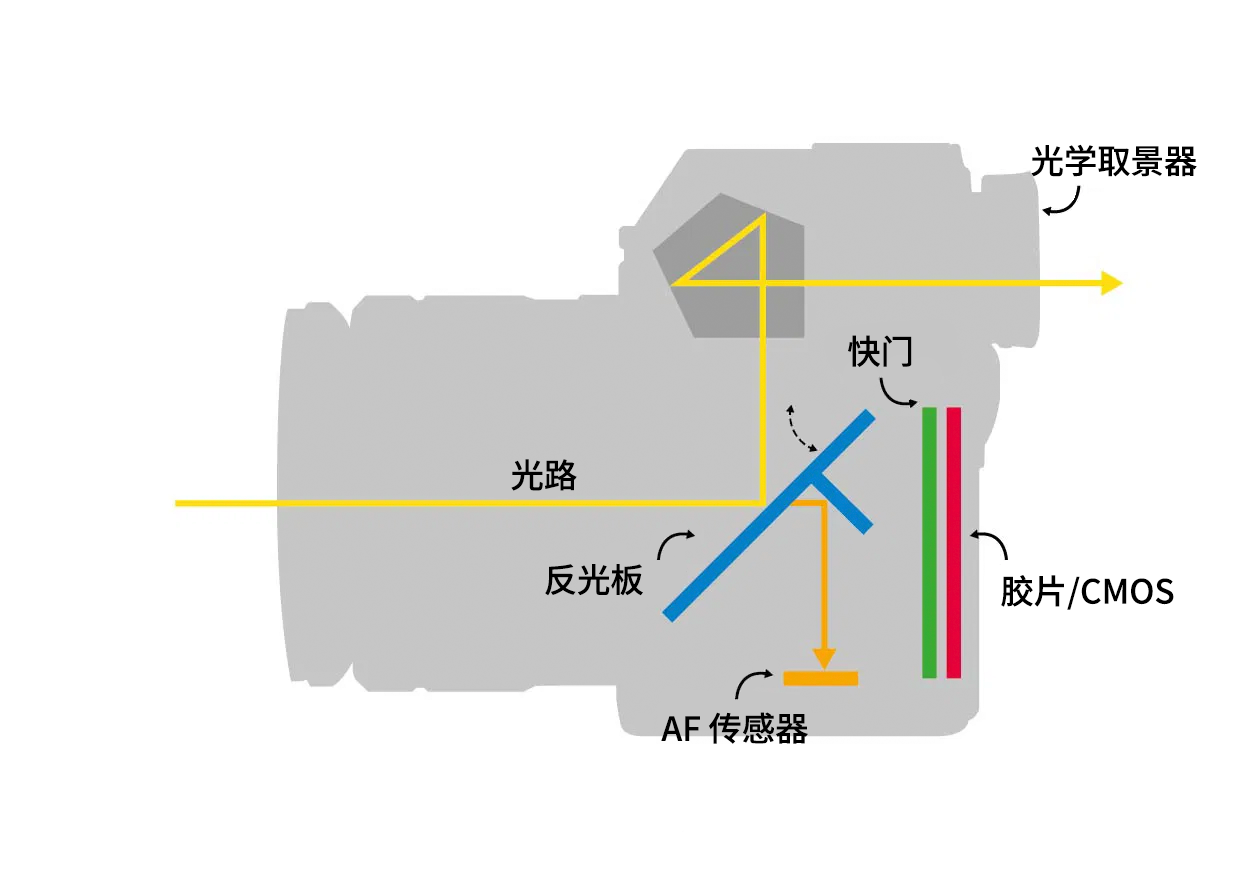 AF单反结构图